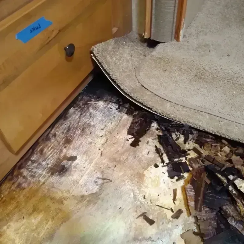 Best Wood Floor Water Damage Service in Cedar Grove, NJ